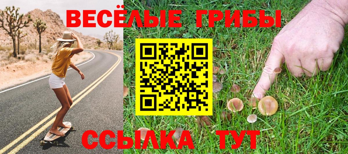Псилоцибиновые грибы GOLDEN TEACHER  Галлюциногенные грибы мухоморы  Вход с VPN  Морозовск 